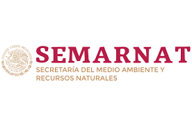 SMN